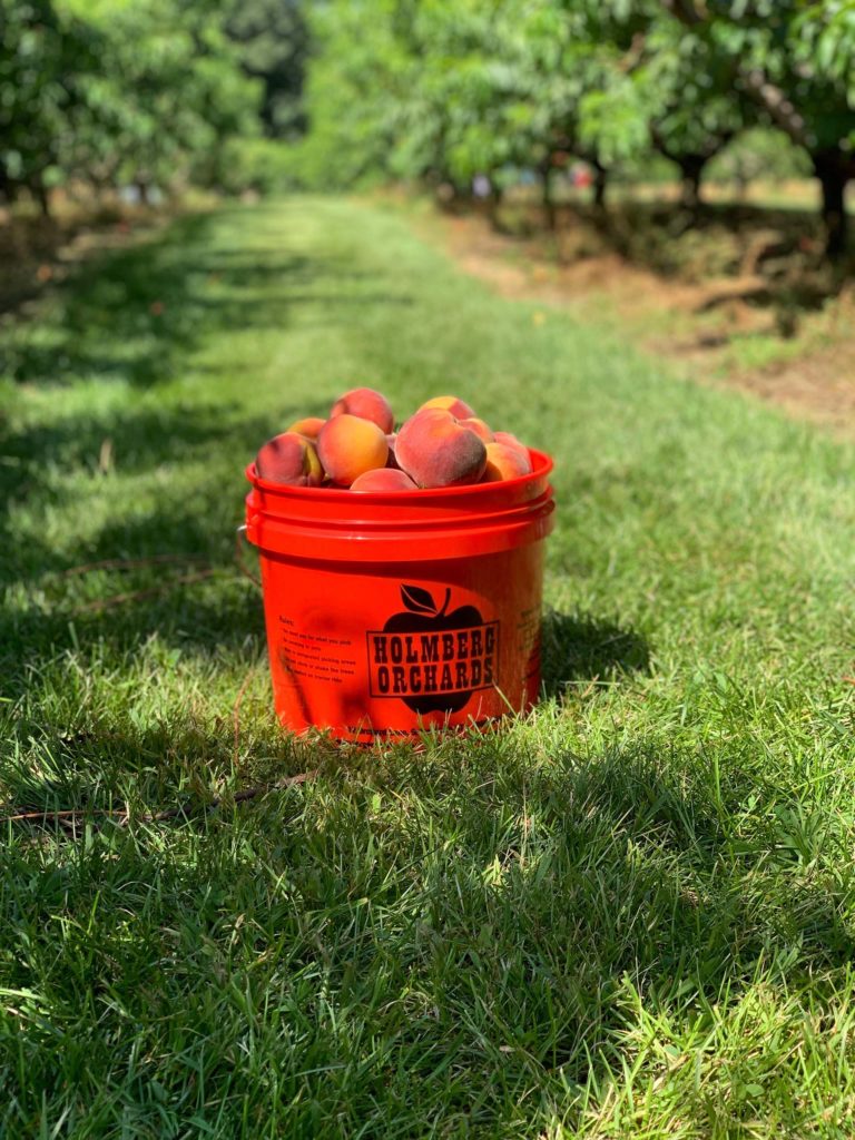 peach bucket
